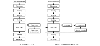 flow diagram of the shrimp production process before and