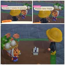 I Just Want Daisy To Get Better Animalcrossing Animal Crossing Animal Crossing Funny Animal Crossing Game