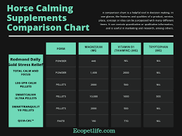 15 Best Calming Supplements For Horses