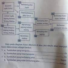 Maybe you would like to learn more about one of these? Tolong Jawab Yh Pliss Brainly Co Id