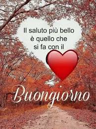 Pin Di Sina Su Buongiorno Buongiorno Buongiorno Immagini Citazioni Casuali