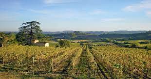 œnotourisme Dans Le Languedoc A La Re Decouverte Des Terroirs De Faugeres Et De Saint Chinian La Revue Du Vin De France