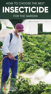 I've been spraying this organic garden pest control on my plants about once a week and it seems to do the trick during those mild months. 5 Best Insecticides To Eliminate Bugs Ants And Pests In Your Garden