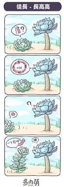 徒長 長高高 青青小樹 多肉萌 comics peanuts comics