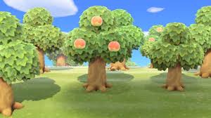 Everything You Need To Know About How To Grow Trees Get Hard Wood Soft Wood And Grow Bamboo And Coconuts In Animal Animal Crossing Fruit Animals Peach Trees