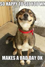 Is So Happy To See You When You Get Home Makes A Bad Day Ok Good Dog Greg Quickmeme