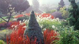 In this area well established. The Gardens Bressingham Gardens
