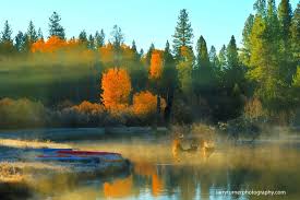 A Very Surreal Capture Of The Wood River Wood River Natural Landmarks Landmarks