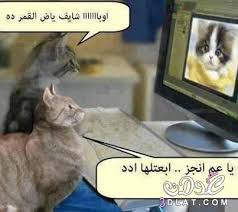 اكثر بوستات مضحكة آخر حاجة عن الأصدقاء، والأقارب، والأطفال، تجدوها هنا اليوم، استمتعوا معنا بتنزيل احدث صور بوستات مضحكة للفيس بوك 2021، وتمتعوا بجو الكوميديا والفرح والمرح وسط اصدقائكم على فيس بوك، ولا تدعوا الوقت كله يذهب على الفيس بوك في تتبع الأخبار الكئيبة أو التي. Ø§Ø¬Ù…Ù„ Ø§Ù„ØµÙˆØ± Ø§Ù„Ù…Ø¶Ø­ÙƒØ© Ø¬Ø¯Ø§ Ø¨ÙˆØ³ØªØ§Øª Ù…Ø¶Ø­ÙƒØ© Ù„Ù„ÙÙŠØ³ ÙŠÙˆÙƒ ØµÙˆØ± Ù…Ø¶Ø­ÙƒØ© Ø¬Ø¯Ø§ 2021 Ø§Ù„Ø¹Ø¯ÙˆÙ„Ø© Ù‡Ø¯ÙŠØ±