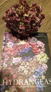 Discover seven of the best elegant lacecap hydrangeas to grow, plus hydrangea pruning and planting tips, with help from bbc gardeners' world magazine. A Book All About My Most Favourite Emma S At Oxford Facebook