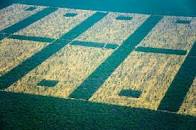 Resultado de imagen para site:cienciasdelsur.com "pastoreo racional"