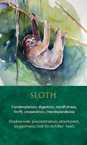 Spirit Animal Awareness Oracle Cards Sloth Animal Spirit Guides Animal Totem Spirit Guides Spirit Animal Totem