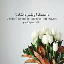 Islamic quotes about flowers in urdu. Quran Quotes About Flowers Gambar Islami