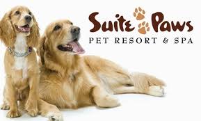 Shop chewy's sizzling summer savings for up to 40% off beds, litter, leashes & more. 19 For 46 Worth Of Pet Boarding Services At Suite Paws Pet Resort Spa Suite Paws Pet Resort Spa Groupon