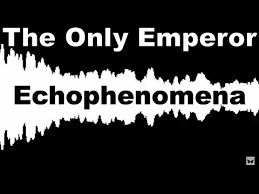 Image result for Echophenomena