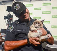An Austin Police Officer Hanging Out With Grumpy Cat During Sxsw Grumpy Cat Quotes Grumpy Cat Humor Grumpy Cat Meme