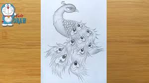 They give the order in which to make the various strokes of the pencil. How To Draw A Peacock In Easy Steps Pencil Art Pencil Sketch Step By Step Youtube