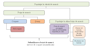 Forta de munca este caracterizata ca fiind un concept statistic complex,ce exprima totalitatea persoanelor apte de munca ,respectiv a ocupata(po),rezerva de forta de munca(rez.m),salariati(s) si ate categorii(ac). Biroul NaÅ£ional De StatisticÄƒ Comunicate De PresÄƒ