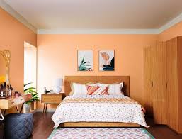 9919 Mango Mastani N Orange Colour Paint