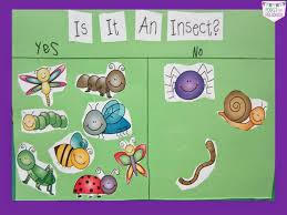 Is It An Insect Chart By Pocket Of Preschool Insect