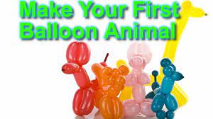How to make balloon dog: The Beginner S Guide To Making A Dog Balloon Animal Youtube