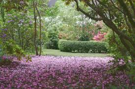 The singing garden, mildura, victoria. Singing Gardens Of Cj Dennis And Tearooms 1694 Healesville Kinglake Rd Toolangi Vic 3777 Australia