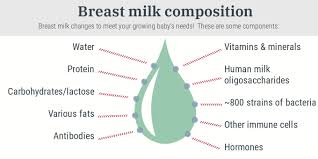 Breast Milk Composition Over Time Whats In It And How Does
