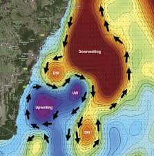 how to use sea surface charts to find fish fishing world