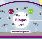 Upgrading of biogas to high-purity bio-CO2 with SEPURAN® Green membranes|  Evonik