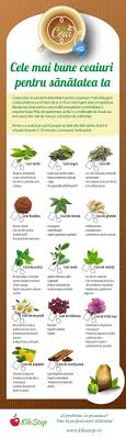Pin By Anastasia On Tratamente Health Food Health Benefits Of Ginger Metabolism Boosting Foods