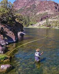 Top 5 Reasons To Fly Fish Utah S Green River Flylords Mag