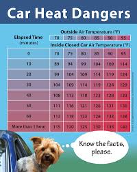 Animals And Extreme Temperatures Humane Society Of St