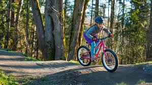 Kinderfietsen Trek Bikes Be
