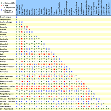 Faithful Anemone Compatibility Chart Saltwater Fish