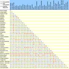 faithful anemone compatibility chart saltwater fish