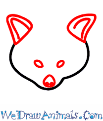 How To Draw A Red Panda Draw a curved line extending from the top of the oval, passing outside the shape and across the bottom, and returning to the top. how to draw a red panda