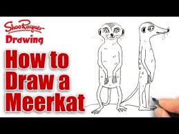 How To Draw A Meerkat Shoo Rayner Everyone Can Draw Leave a comment if you have questions and requests! how to draw a meerkat shoo rayner