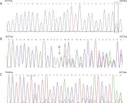 Find more hebrew words at wordhippo.com! Identifying Mutations By High Resolution Melting In A Tilling Population Of Rice Protocol Translated To Hebrew
