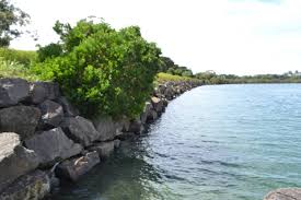 Kiama Council Stalls Minnamurra Boardwalk Project Due To Cost Illawarra Mercury Wollongong Nsw