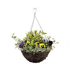 God save ireland from the hanging basket brigade. 2 Assorted Pre Planted Hanging Baskets Diy At B Q