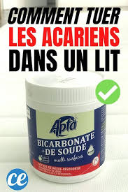 comment eliminer les acariens dans votre matelas definitivement les acariens acariens allergie aux acariens