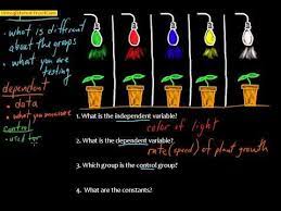 Independent Vs Dependent Variables Control Vs Experimental Groups And The Learning Science Scientific Method Summer School Science