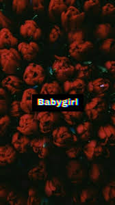 Colorful wallpaper tumblr pixelstalk net. Babygirl Wallpaper Cute Tumblr Wallpaper Badass Wallpaper Iphone Red Roses Wallpaper