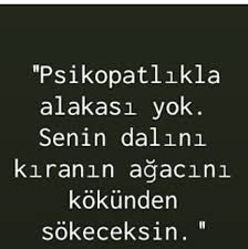 Aklima Sey Geldi Bi Kere Kuzenim Ile Top Oynarken Topu Agaca Atmisti Dallar Kirlimisti Al Girdin Girdin Demistim Bff Sozleri Ozlu Sozler Ilham Verici Alintilar