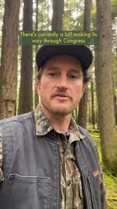 duet with @Nerdy About Nature (Ross Reid) #forest #2025 now that the ...