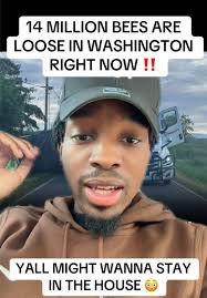 14m Bees Escaped After Semi Truck Spills