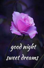 Beautiful good night images for whatsapp free download. Good Night Images For Whatsapp Hd Free Download Good Night Love Images Lovely Good Night Good Night Flowers