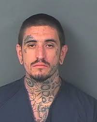 HCSO Arrests Public Records Results