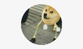 Dancing Doge Png Dancing Doggo Gif Transparent Png 420x420 Free Download On Nicepng 31+ dog png images for your graphic design, presentations, web design and other projects. dancing doge png dancing doggo gif