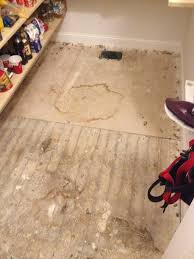 Better than any royalty free or stock photos. Crazy Pantry Floor Idea Hmmm Flipping The Flip